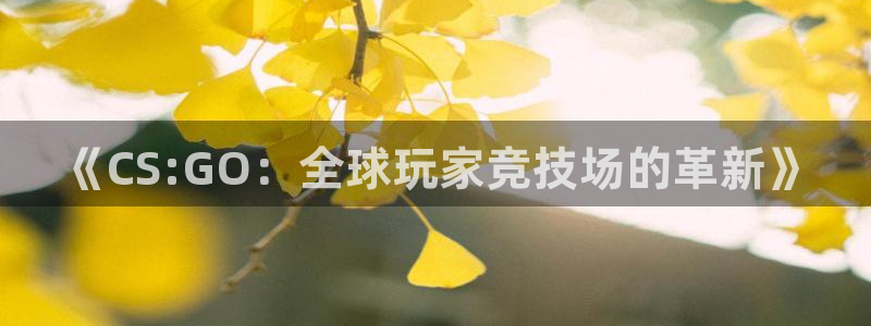 多宝电竞下载安装手机版：《CS:GO：全球玩家竞技场的革新》